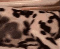 喂奶时宝宝咬奶,为什么喂奶时宝宝会突然咬你