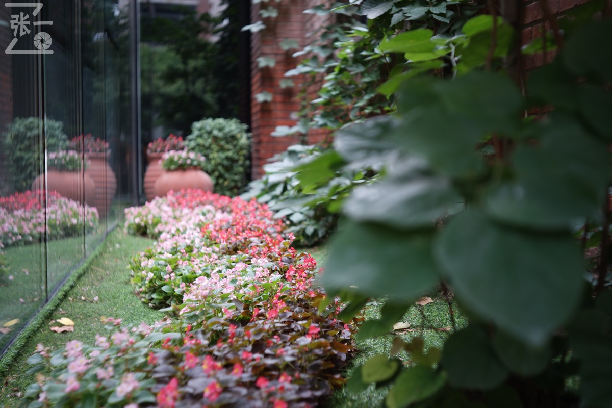 适合索尼a7m4的50定焦镜头测评,索尼a7m4镜头24-105f4测评