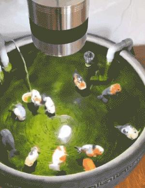 分享创富最佳方法,分享快速致富好项目