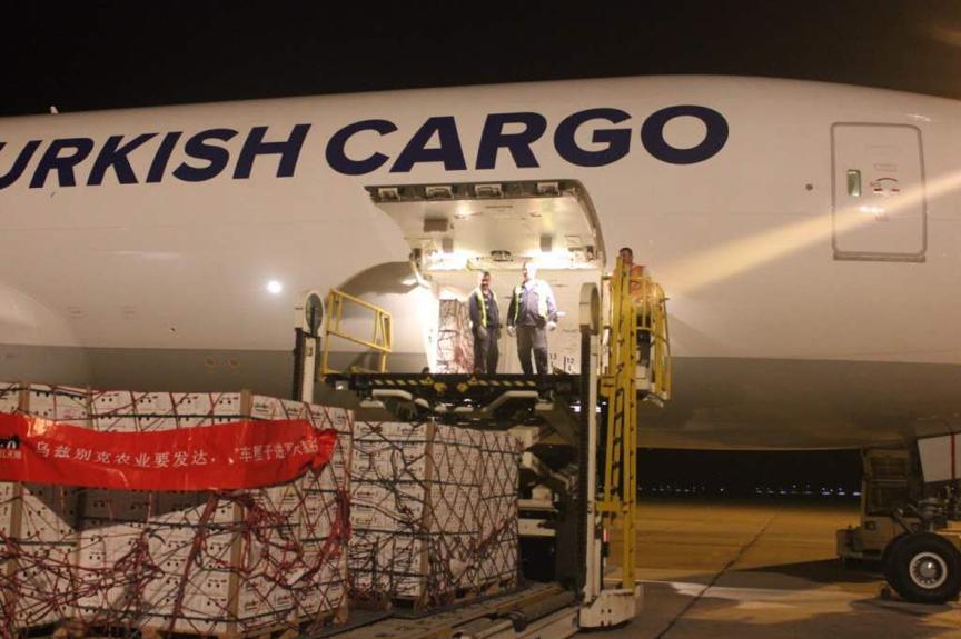 马来“猫山王”解禁！天猫618首发84元，泰国金枕遇强劲对手