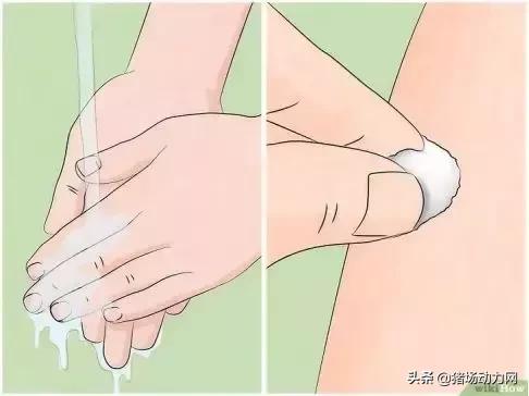 消灭蜱虫的药,蜱虫的毒性有多强