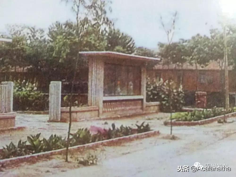 霸州土产公司老照片,霸州老城区图片