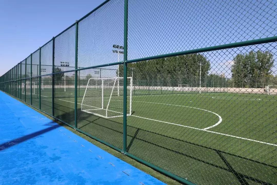 新建体育馆最新消息,体育馆最新消息