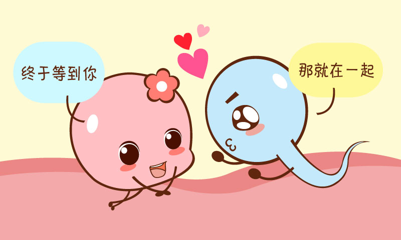 知道排卵期，该如何安排啪啪啪？