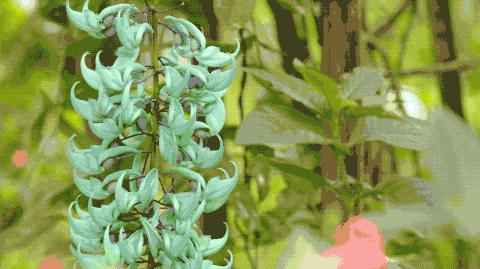 他的工作是厨师的英文,他的工作是什么英文句子