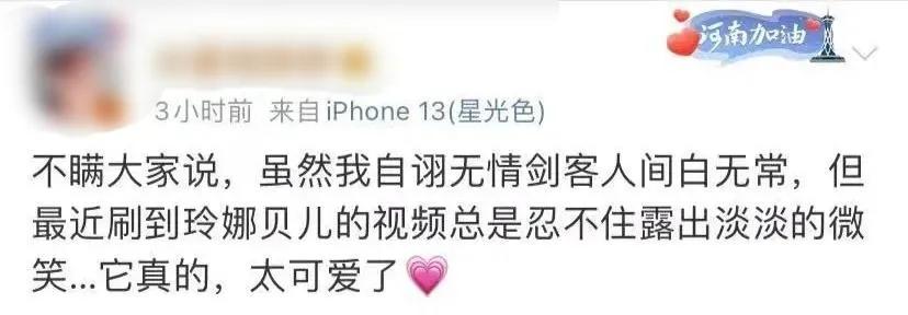 迪士尼狐狸精,迪士尼赚到的钱给了谁