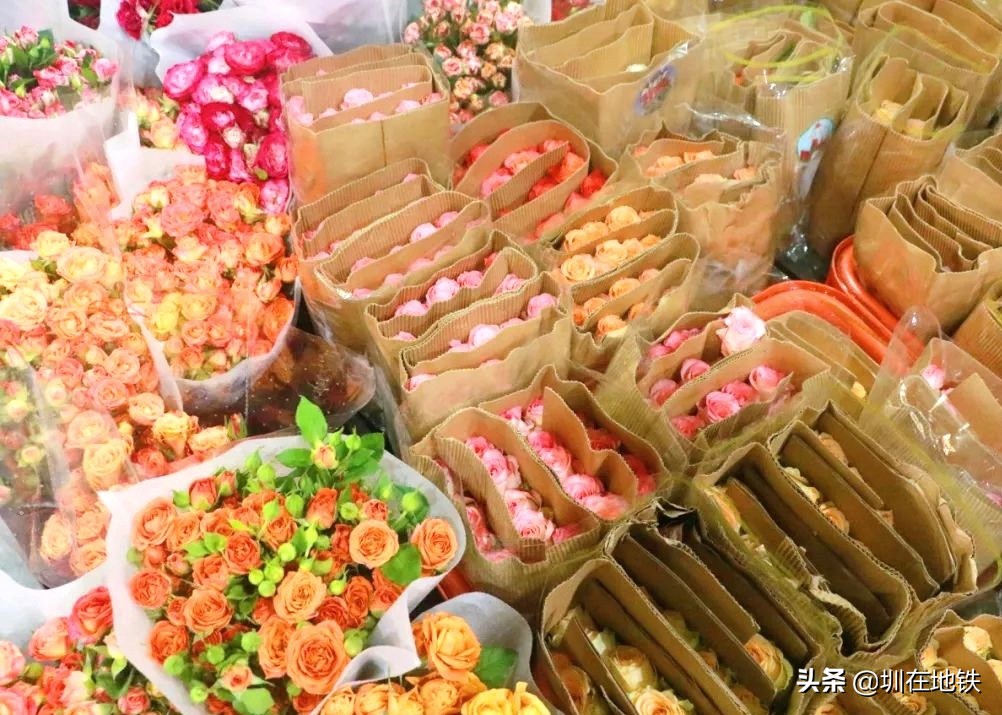 乘坐地铁到滘口花卉市场,从地铁到花卉市场