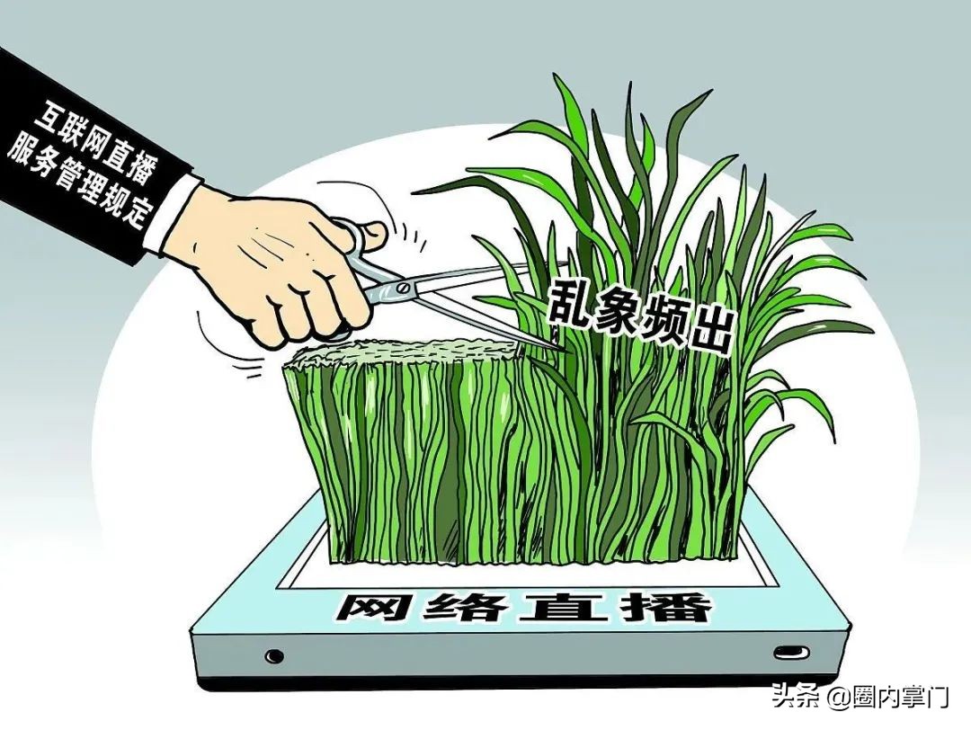 怒吼保安下的网红世界：同情保安的是屌丝，支持辛巴的是高富帅？