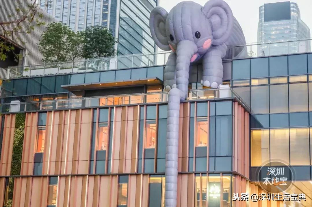 深圳南山夜晚有哪里好玩,深圳南山浪漫地方