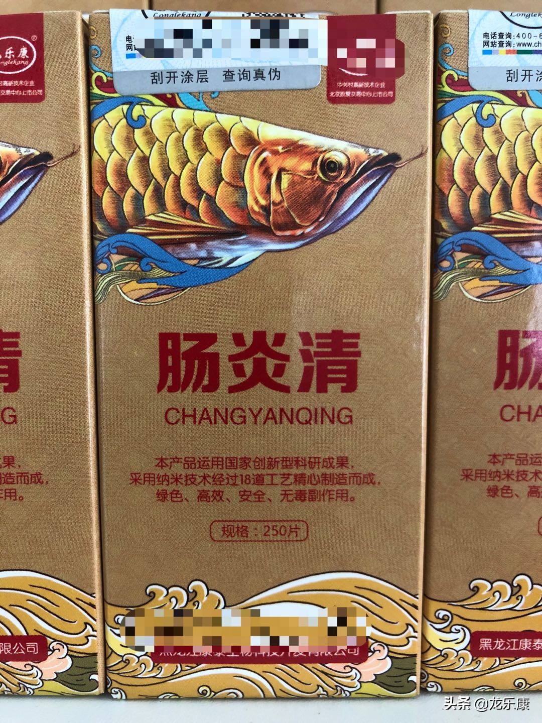 龙鱼温差引起的疾病,龙鱼鳃部疾病都有哪些