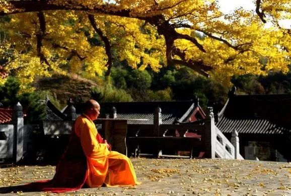 独家揭秘：佛教传播的见证——妙峰山及寿圣院考（作者：崔学法）