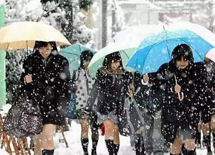 日本街头女子抗议,日本女生校服必须穿裙子吗