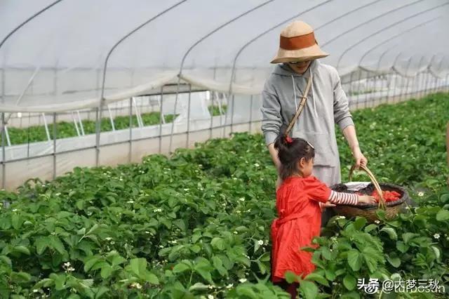 等发工资了去买双鞋,等发工资了买双鞋