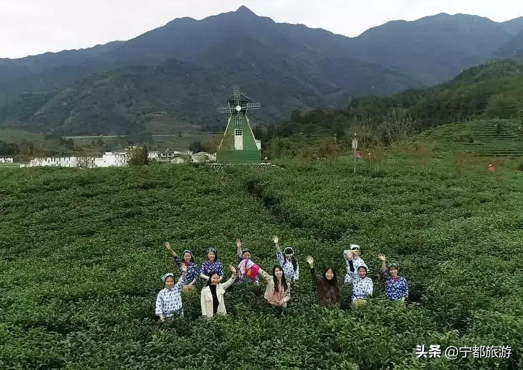 一起品味!小布茶香,香飘全国~