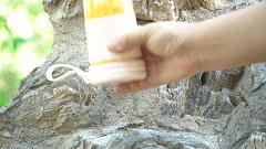 能随身携带的鲜榨果汁机，仅售百元，40秒完成一杯鲜榨果汁