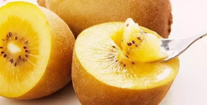 山东7月份有哪些水果可以采摘,山东10月份有什么水果可以采摘