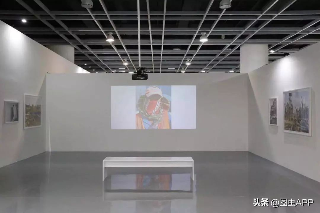 图虫opensealab摄影,图虫看动物世界系列