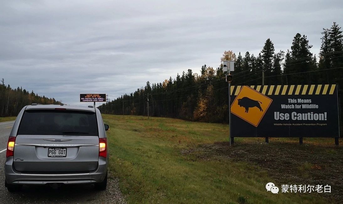 跟着老白行走加拿大，育空Watson Lake、BC省Northern Rockies