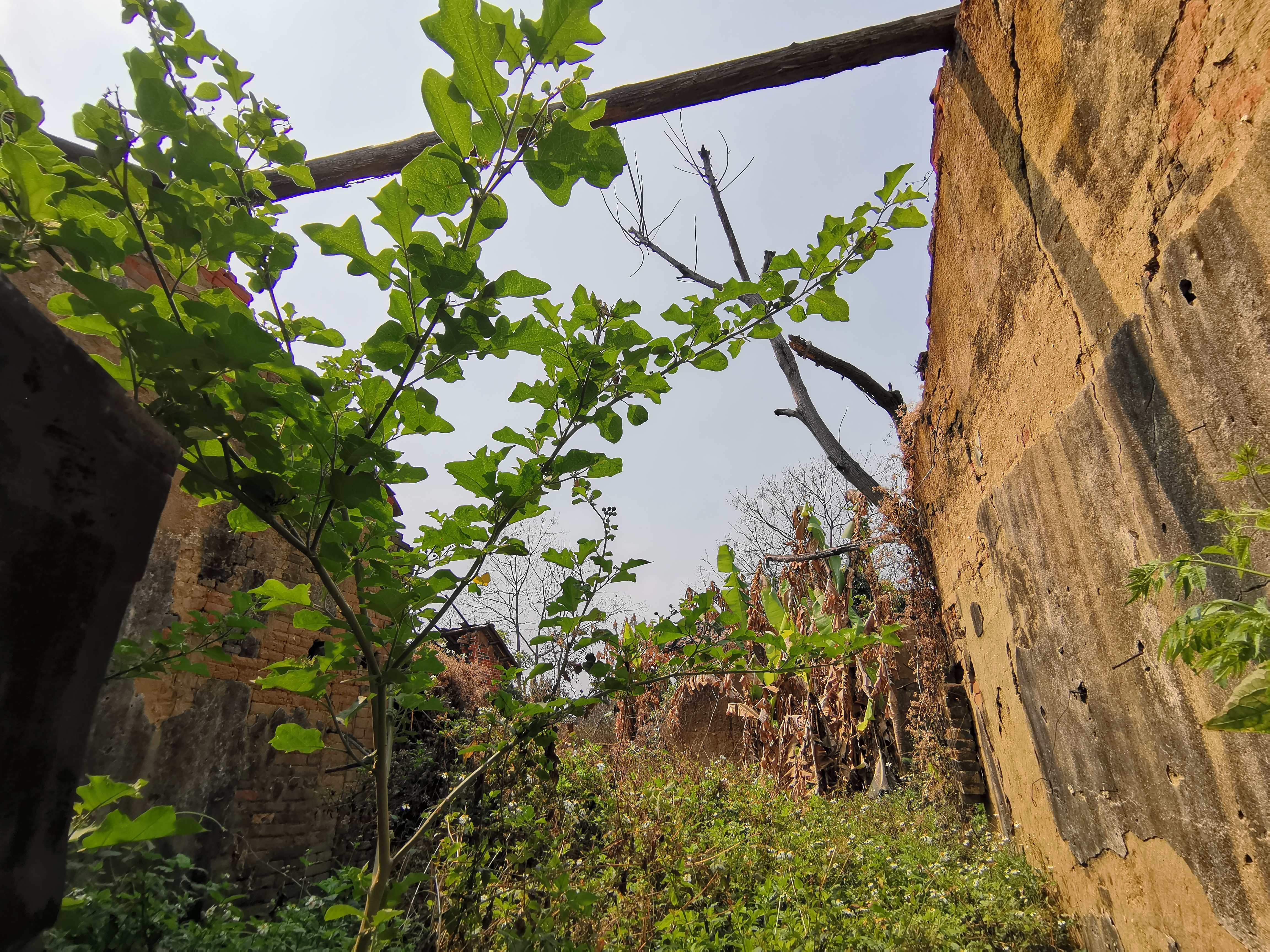 钱岗古村落景点介绍,钱岗古村传统特色