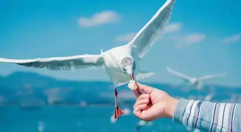 旅居昆明邂逅浪漫滇池,昆明滇池环线一日游