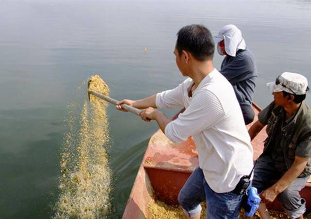 窝里有鱼不开口怎么办,窝里有鱼不咬钩图解
