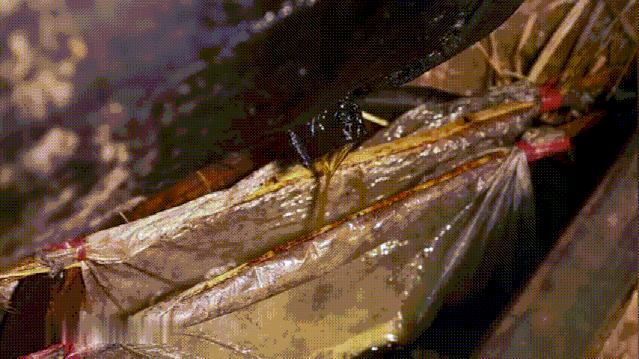 食用油是怎么榨出来的,食用油怎么压榨出来的