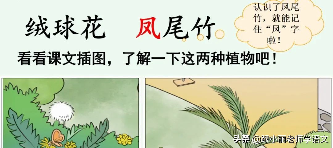 大青树下的小学重要背诵内容,大青树下的小学重点知识点