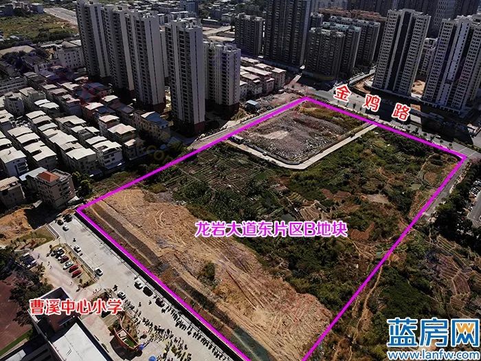 龙岩龙津湖地块,龙岩大道地段