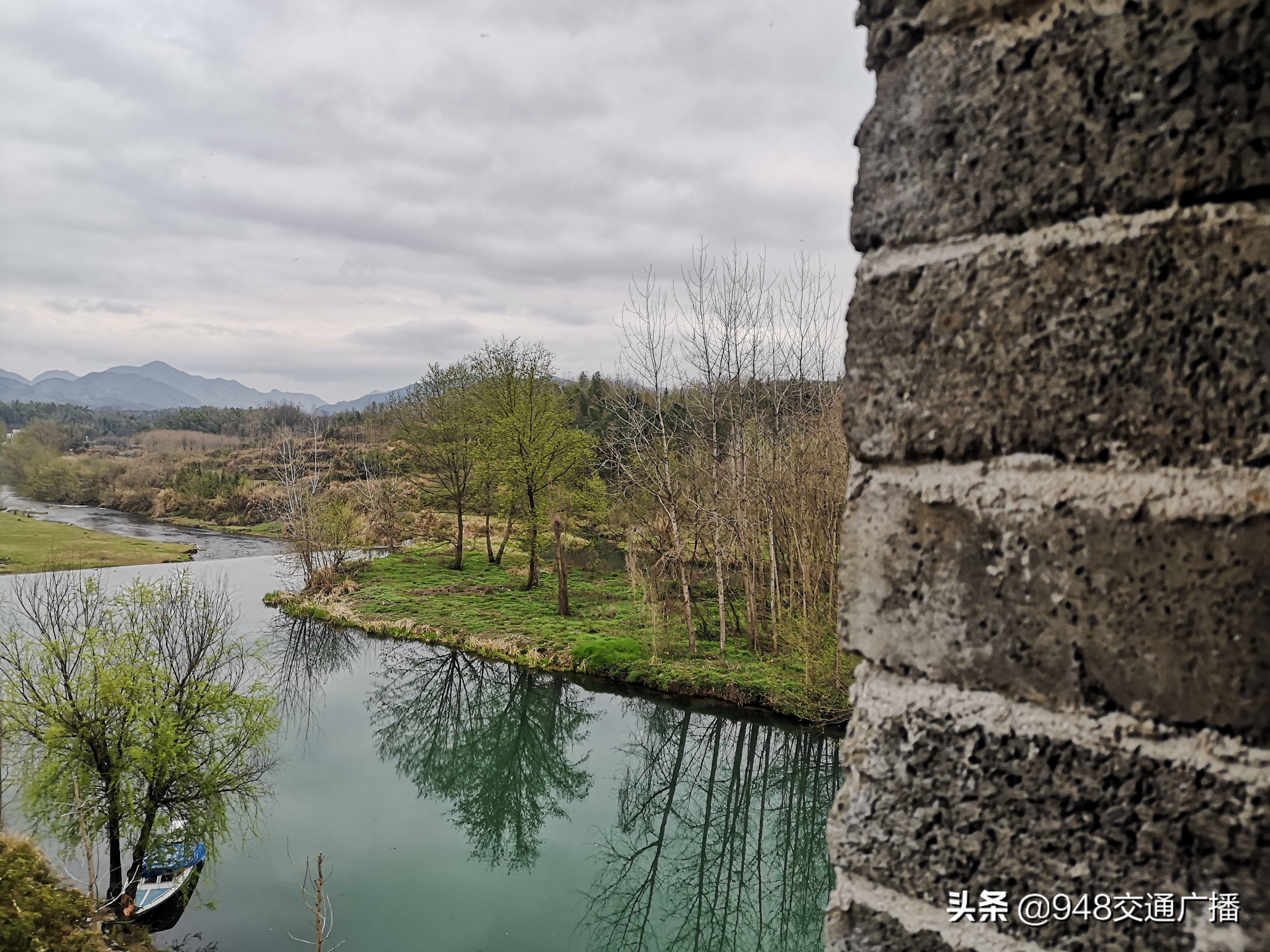崇阳万亩野樱,崇阳县野樱花村风景
