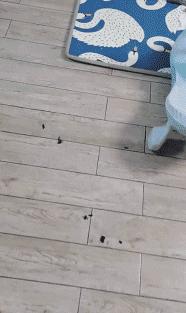 儿童氯气中毒的症状,儿童氯气中毒死亡