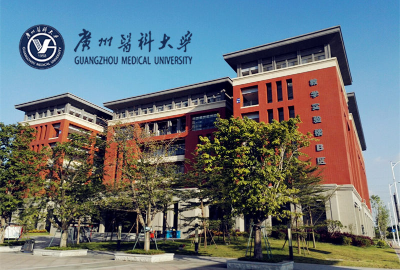 一字之差大学和学院区别在哪,一字之差大相径庭