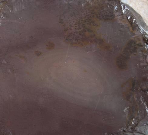 在历史上歙砚与端砚洮砚,歙砚端砚哪个值得收藏