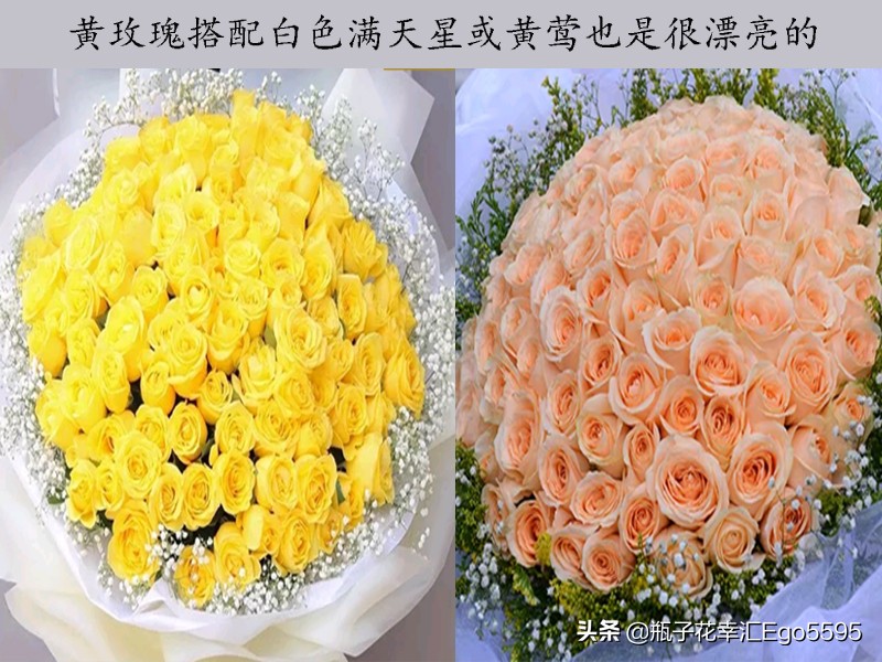 黄玫瑰粉玫瑰的浪漫花语,粉色玫瑰花和粉色郁金香的花语