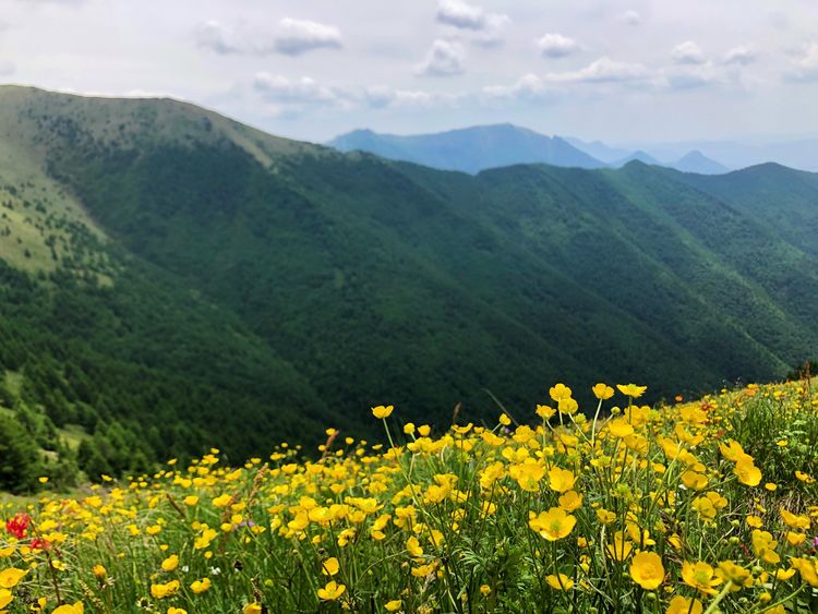 小五台山哪里进入景区,小五台山春天景色