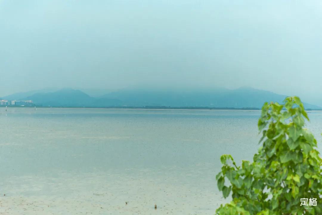 深圳周末打卡地点排行榜,深圳秋季打卡攻略