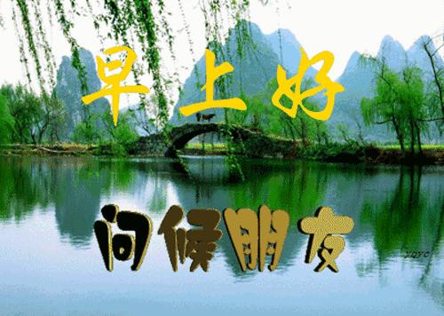 早上好图片带字逗人开心表情包,最新的精美的优雅的早上好表情包