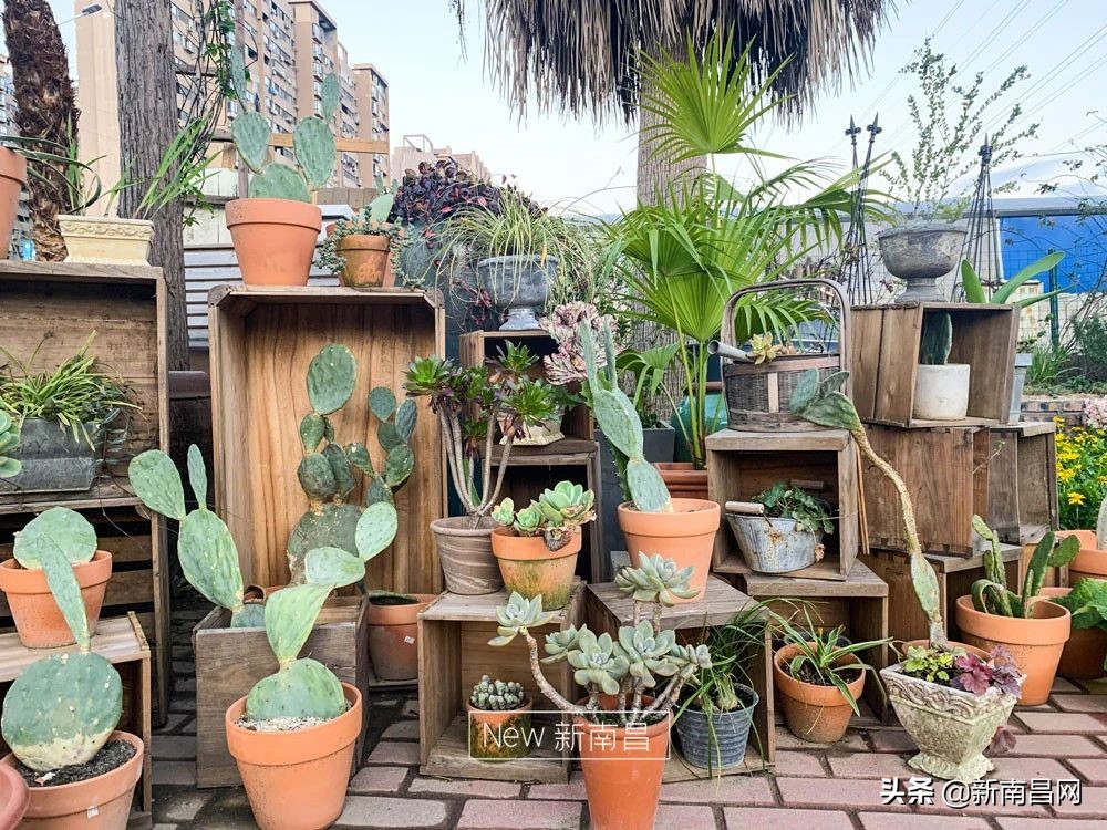 南昌花市有哪些地方,南昌花市批发市场