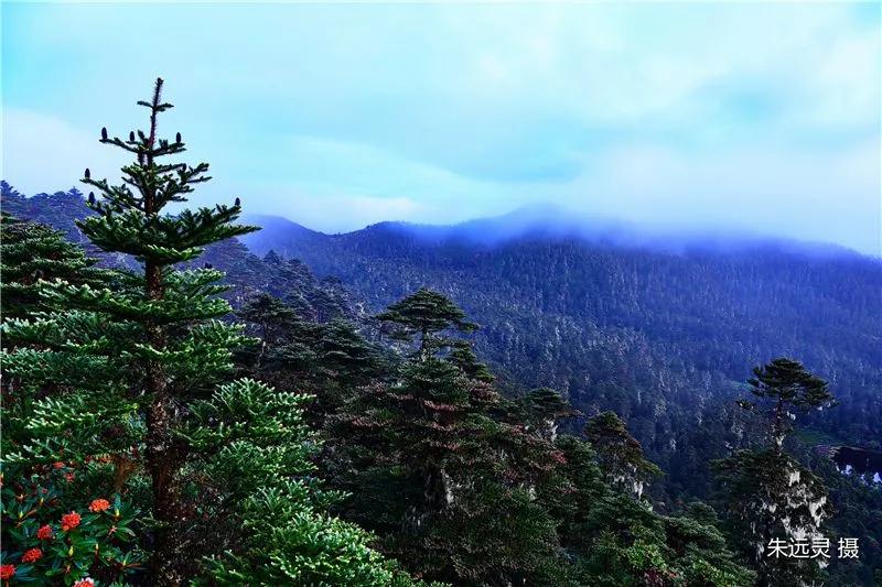 丽江避暑居住攻略,丽江避暑旅游攻略