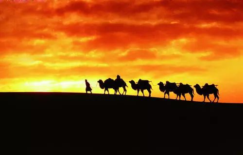 民勤骆驼客专卖店,民勤骆驼客演唱会