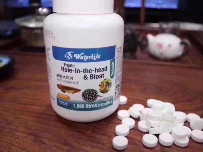 养鱼人的鱼药,水库鱼药的正确使用方法和用量