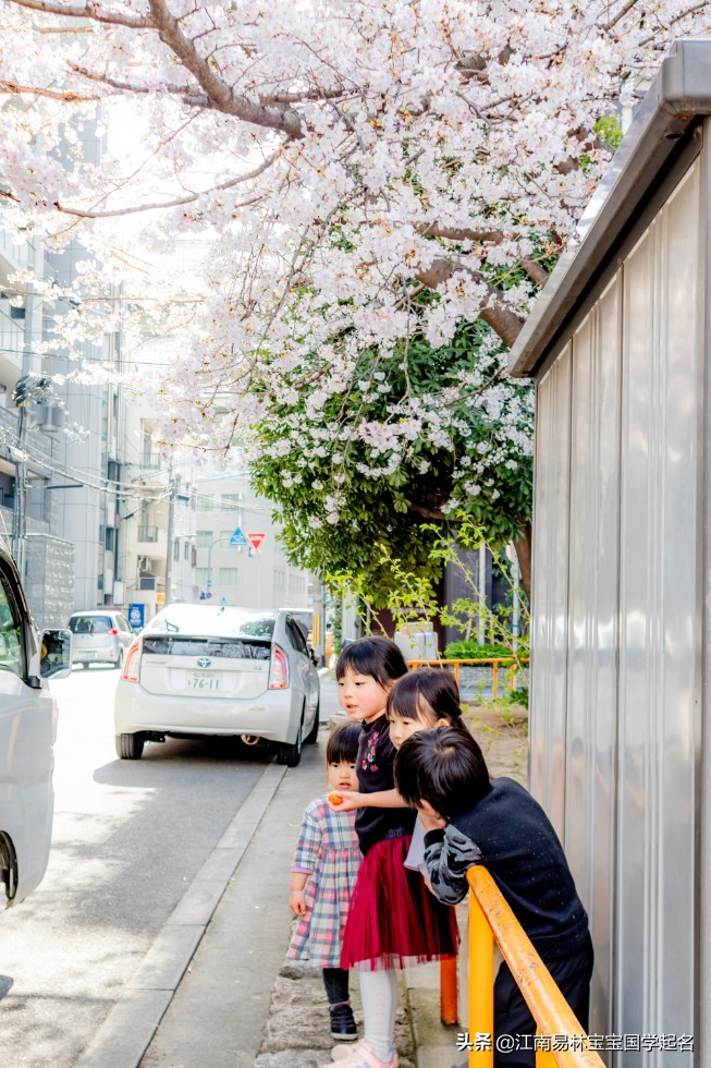 诗经中优雅的女孩名字大全,独特惊艳的诗经女孩名字