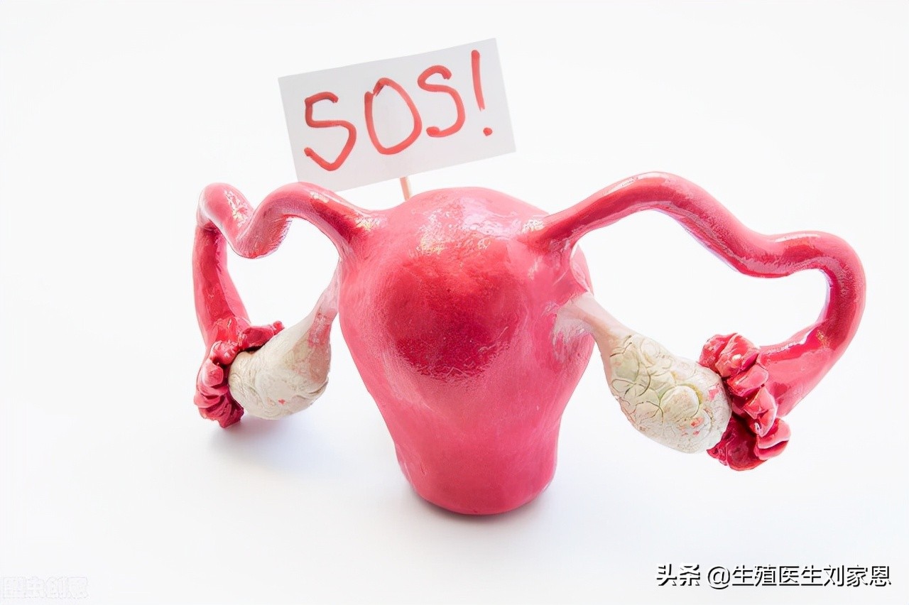 卵巢储备功能下降如何备孕,卵巢储备功能低备孕做什么运动