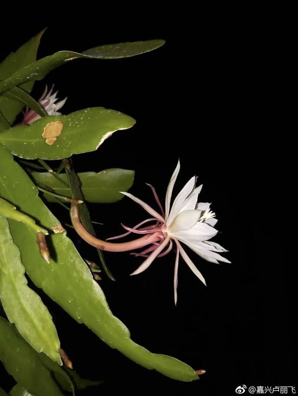 按头安利！5块钱淘宝好物，解决最难搞的收纳问题