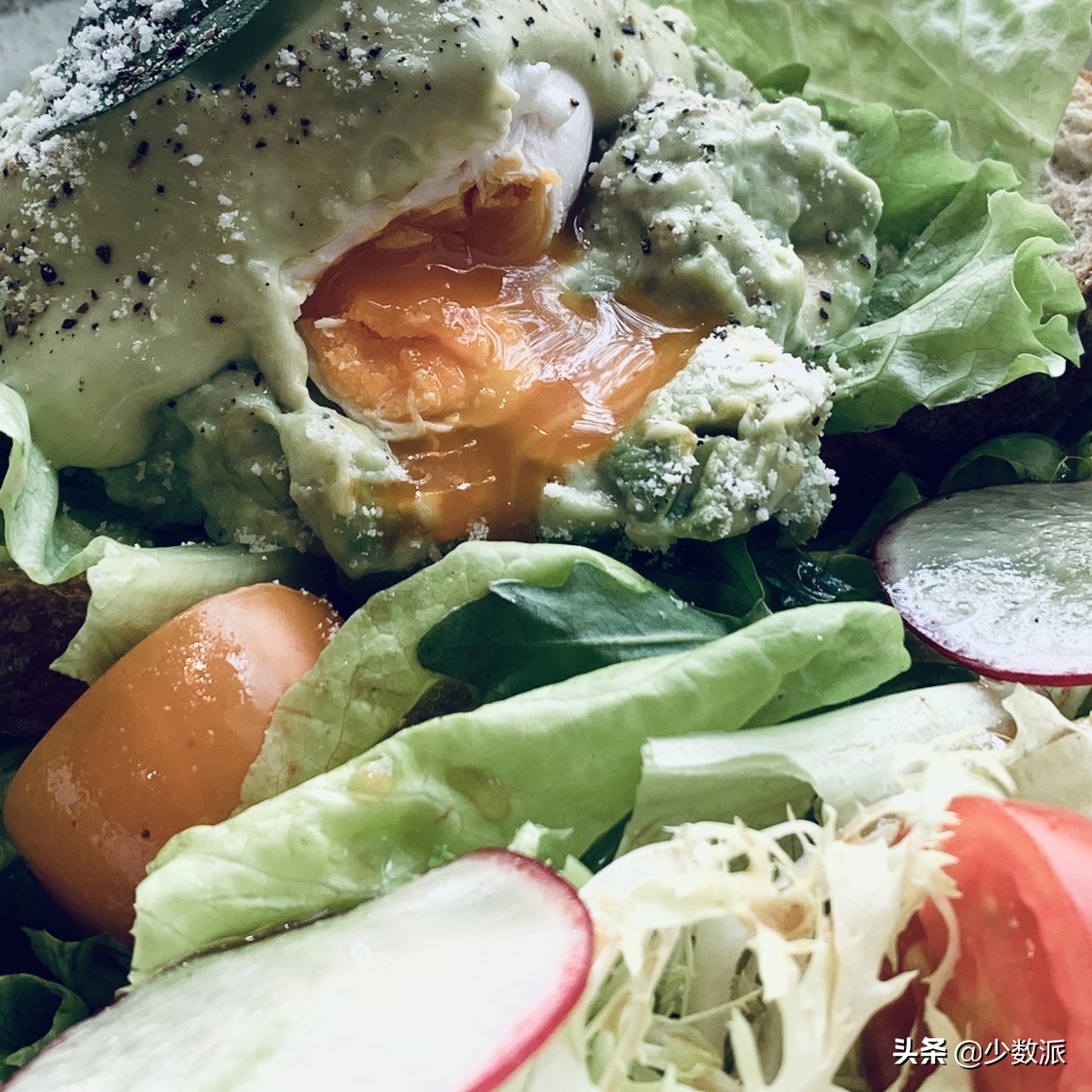 新手如何学会用苹果手机拍好照片,如何拍100张照片苹果