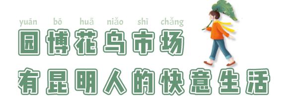 逛花卉市场赏心悦目,逛花鸟市场的快乐