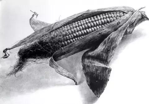 素描基础薄弱,素描基础绘画超难