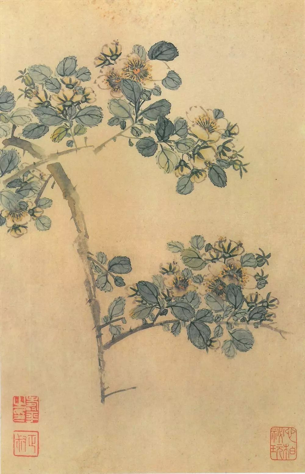 学习画画的10个误区,学习中国画的十大误区