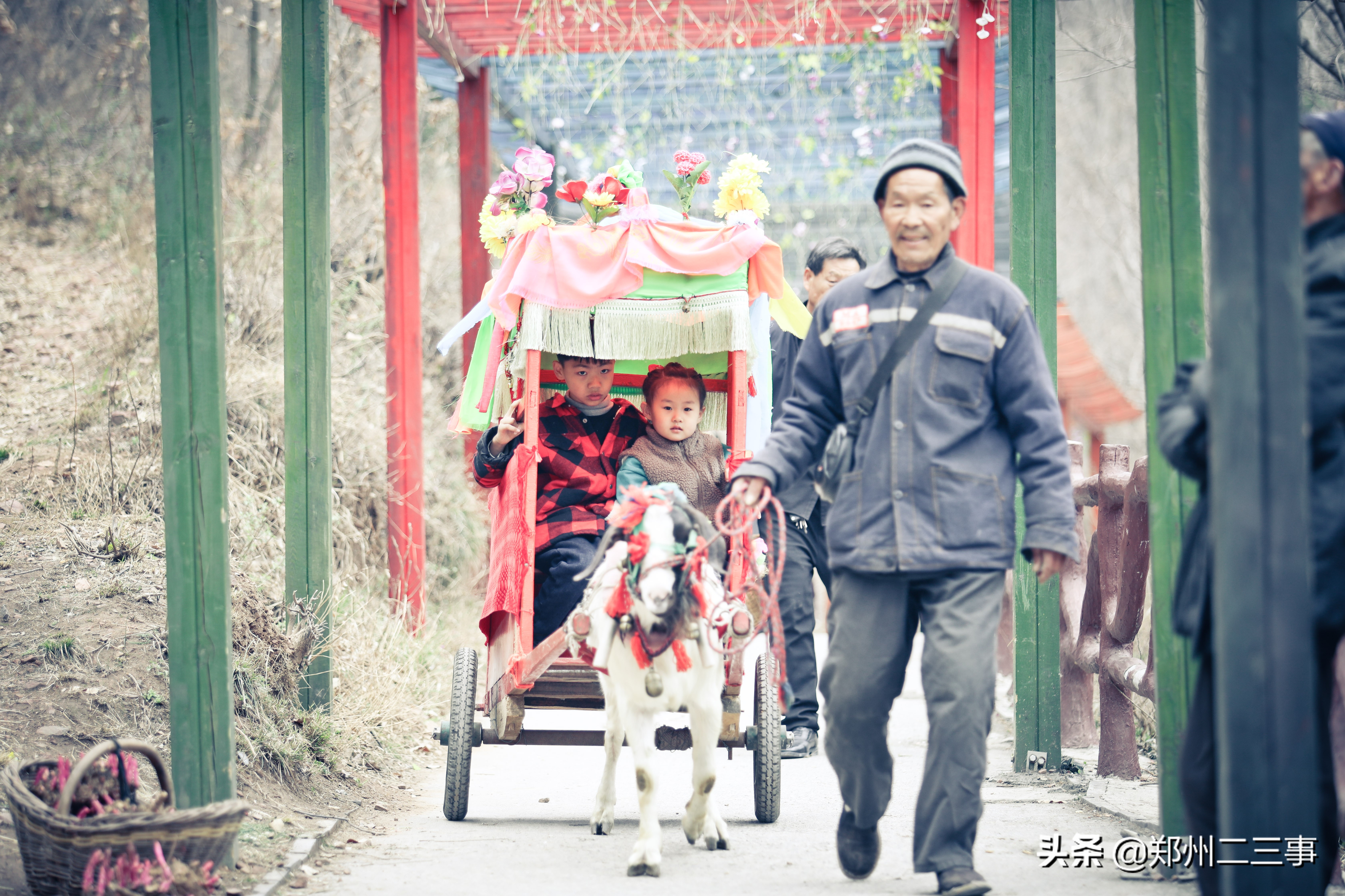 郑州惠济区免费遛娃好去处植物园,郑州遛娃踏青好去处
