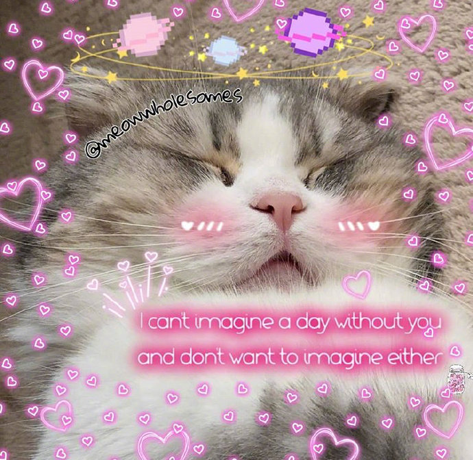 猫咪背景图ins风,猫咪背景图ins高级质感黑猫