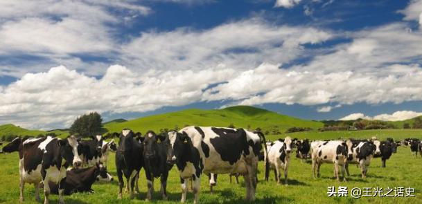 新西兰是地球最后的净土吗,新西兰十大未解之谜